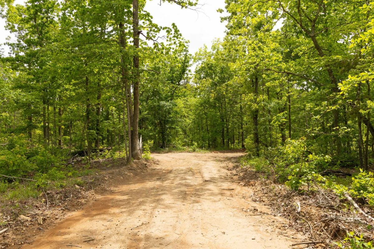 Stardust Estates Tract 26 - Image 2