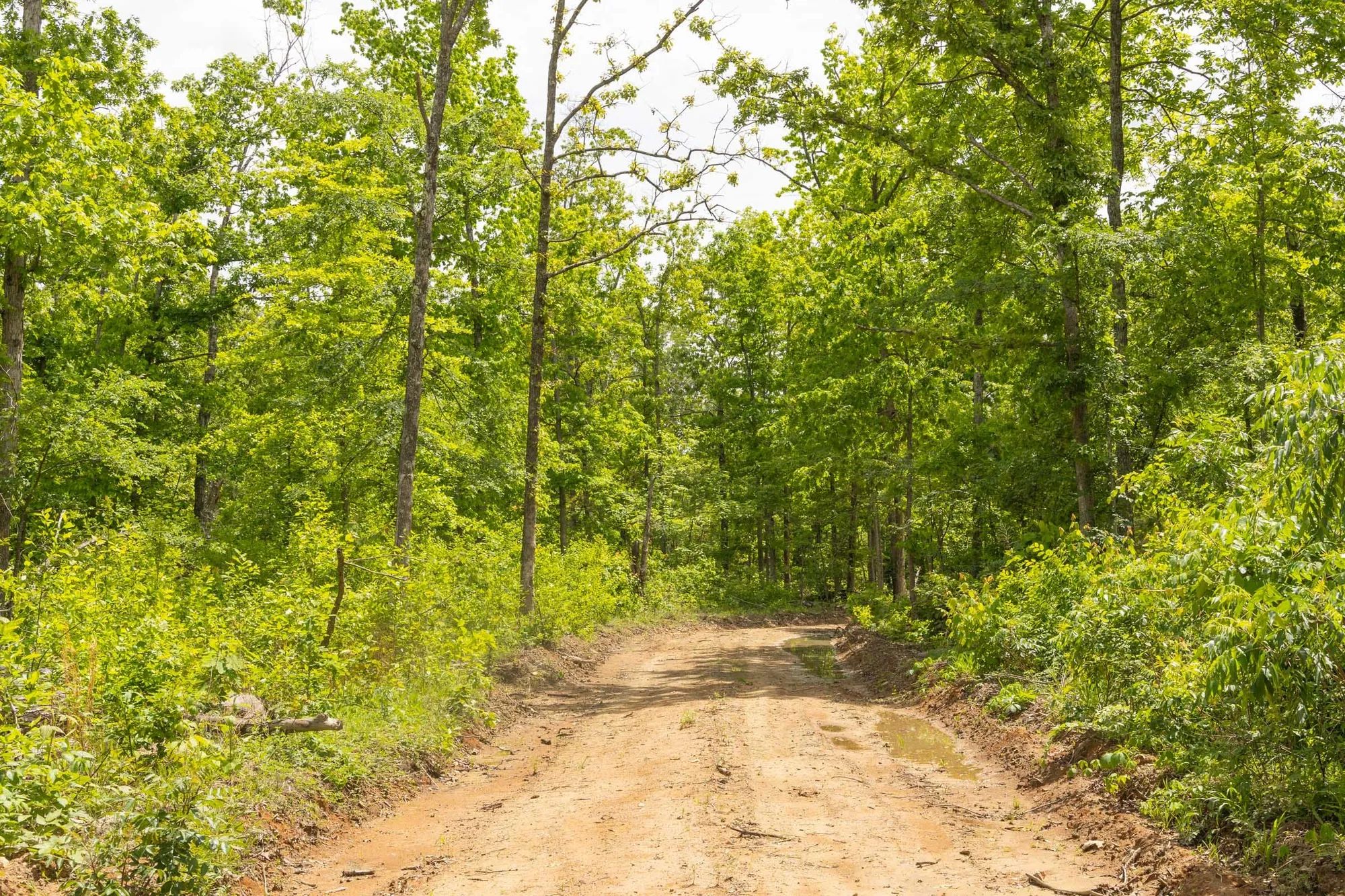 Stardust Estates Tract 26 in Reynolds County, MO