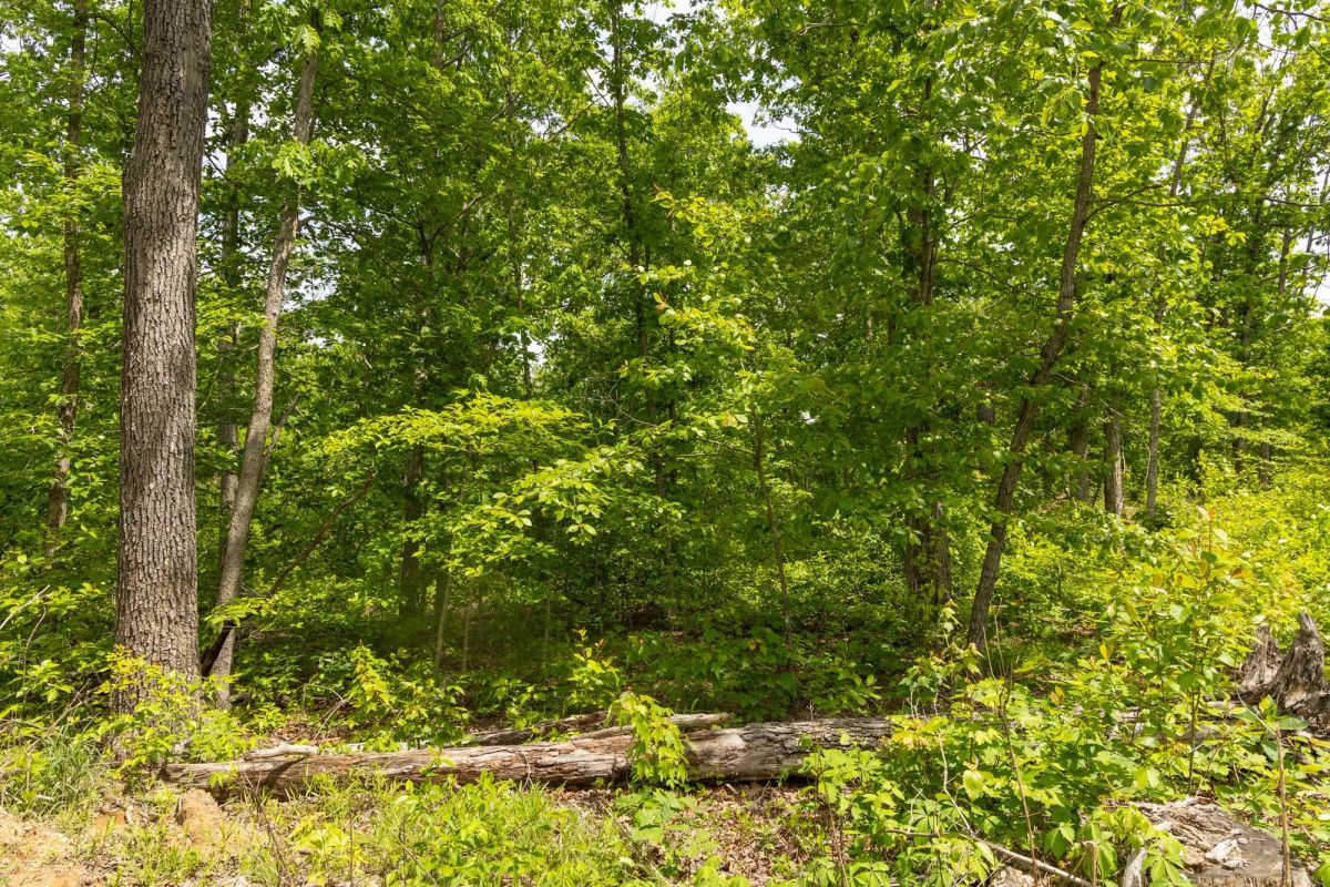 Decorative background for Stardust Estates Tract 26 image 5
