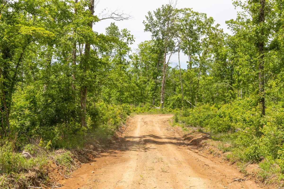 Decorative background for Stardust Estates Tract 26 image 9