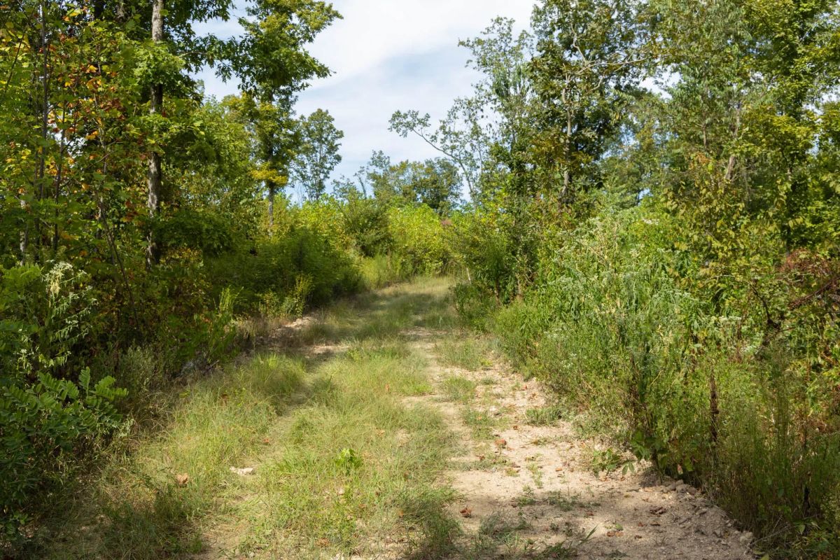 Big White Oak Tract 75 - Main image