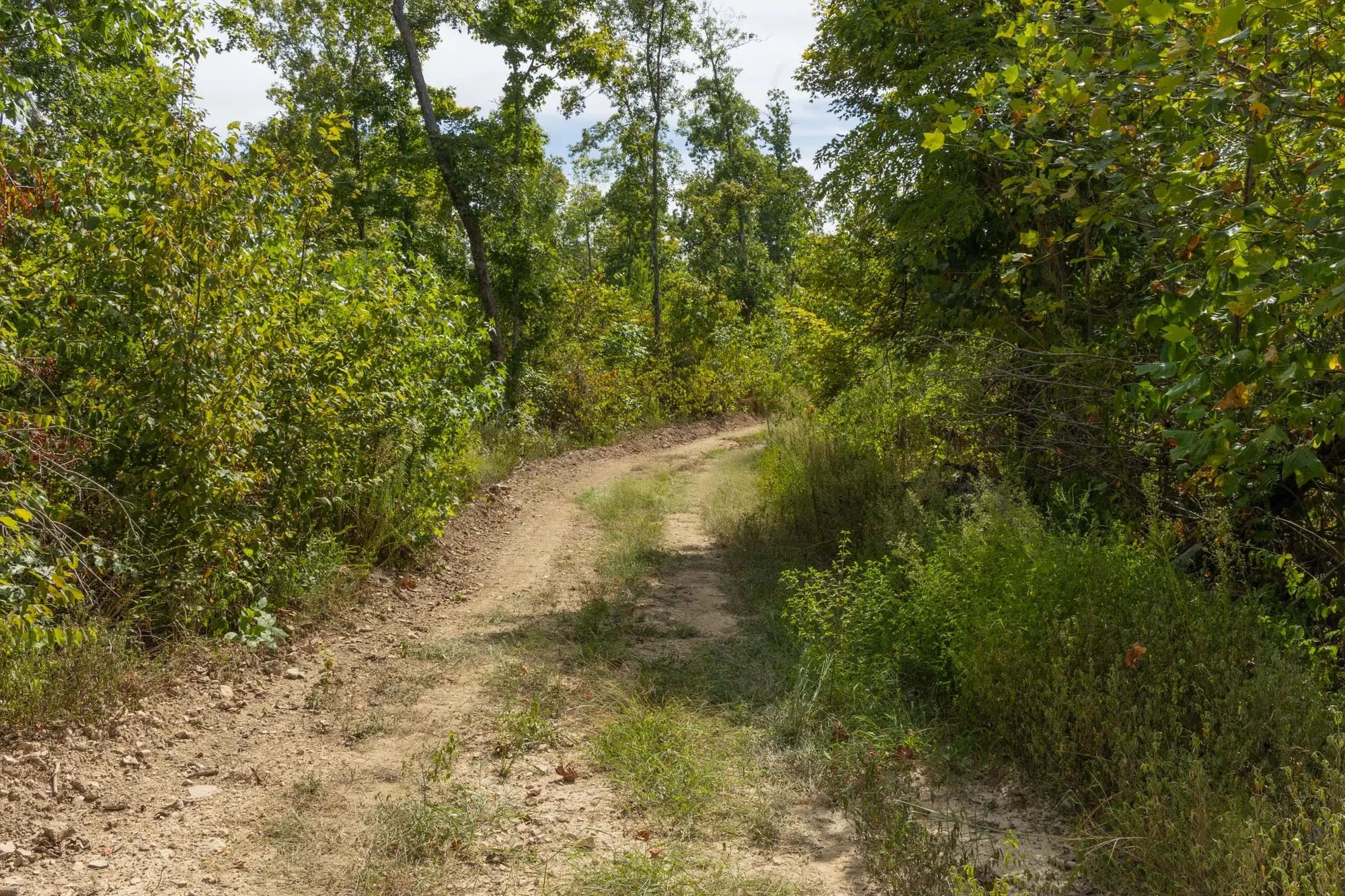 Big White Oak Tract 75 in Perry County, TN