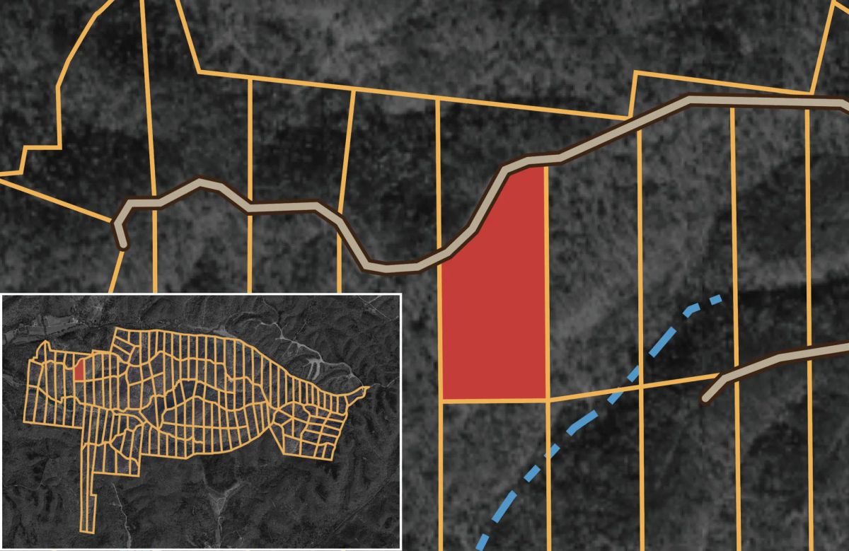 Decorative background for Big White Oak Tract 75 image 8