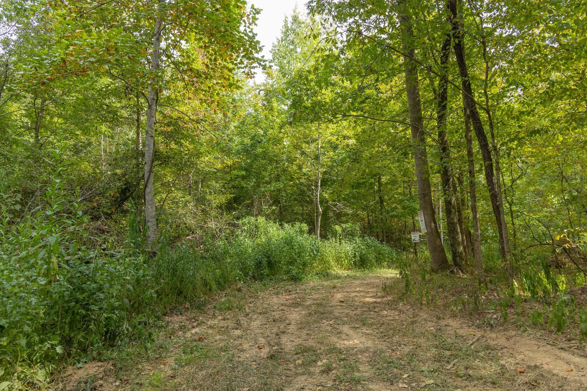 Big White Oak Tract 115 in Perry County, TN
