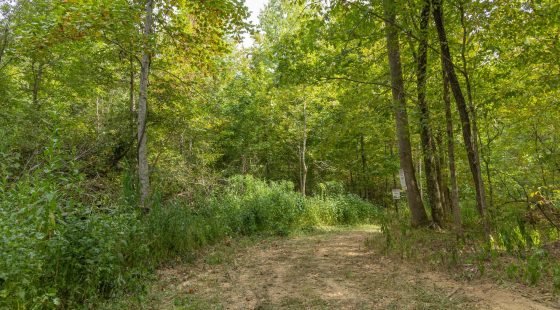 Big White Oak Tract 115 in Perry County, TN