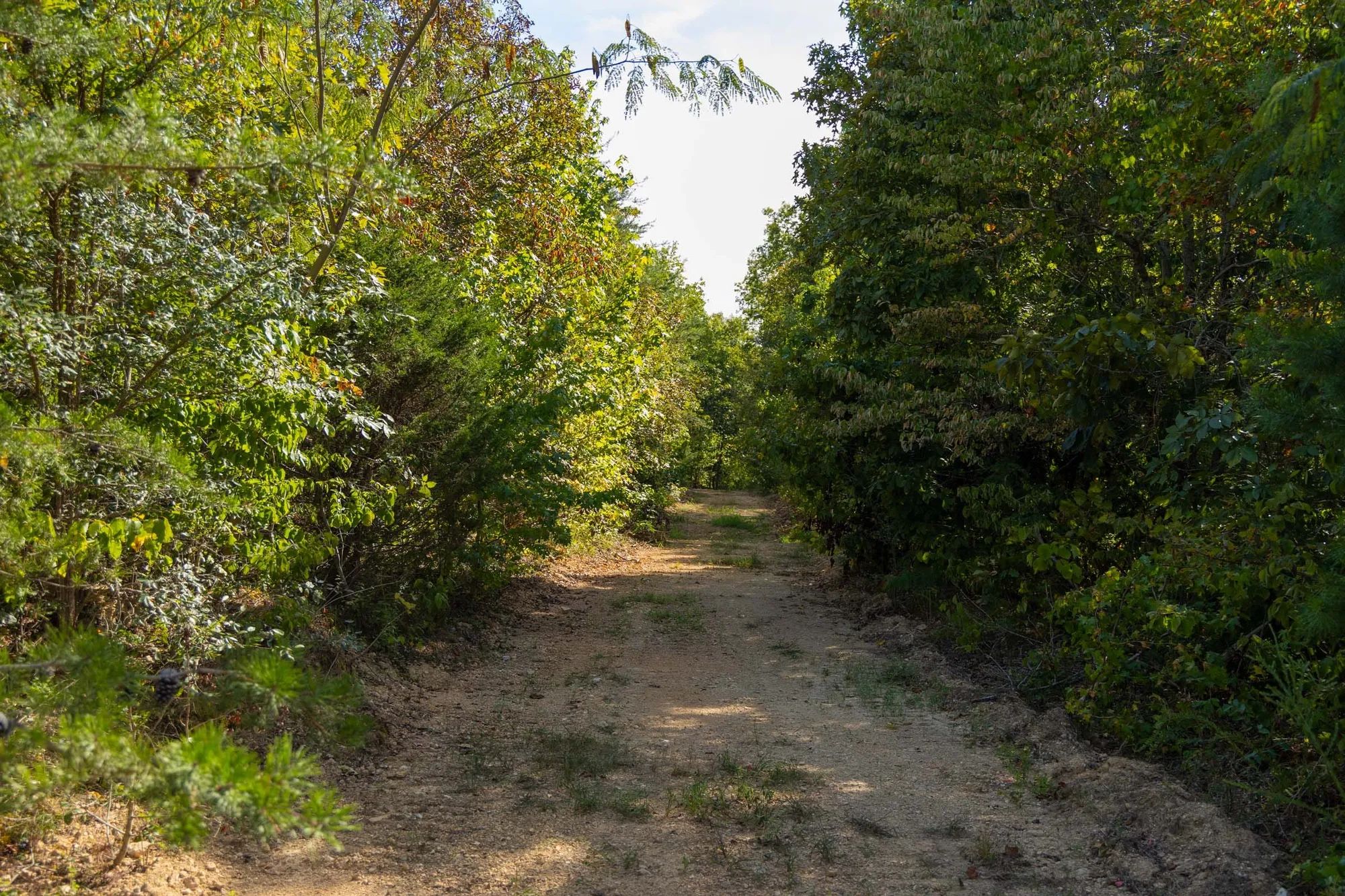Big White Oak Tract 151 in Perry County, TN
