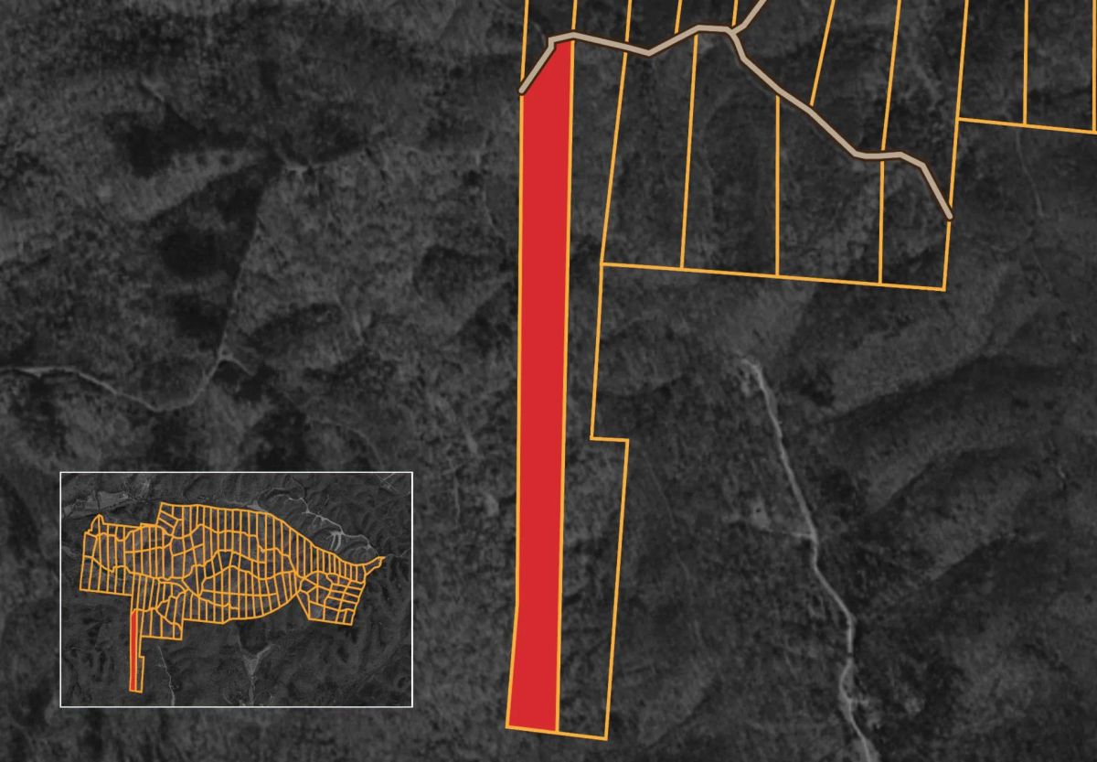 Decorative background for Big White Oak Tract 151 image 15