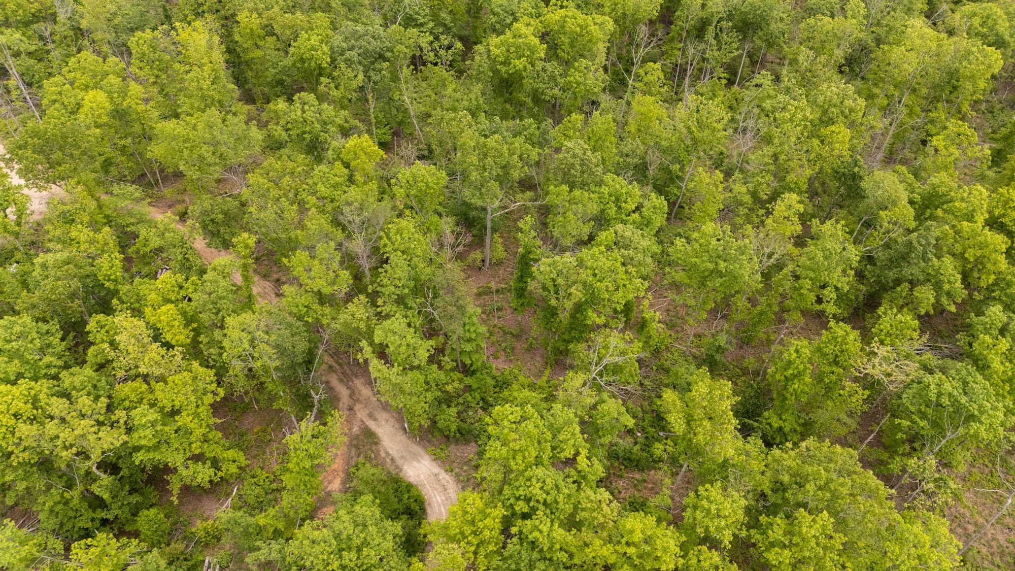 Stardust Estates Tract 33 in Reynolds County, MO
