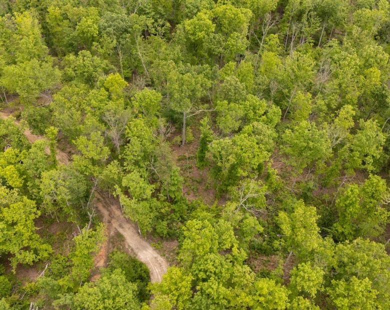 Stardust Estates Tract 33 in Reynolds County, MO