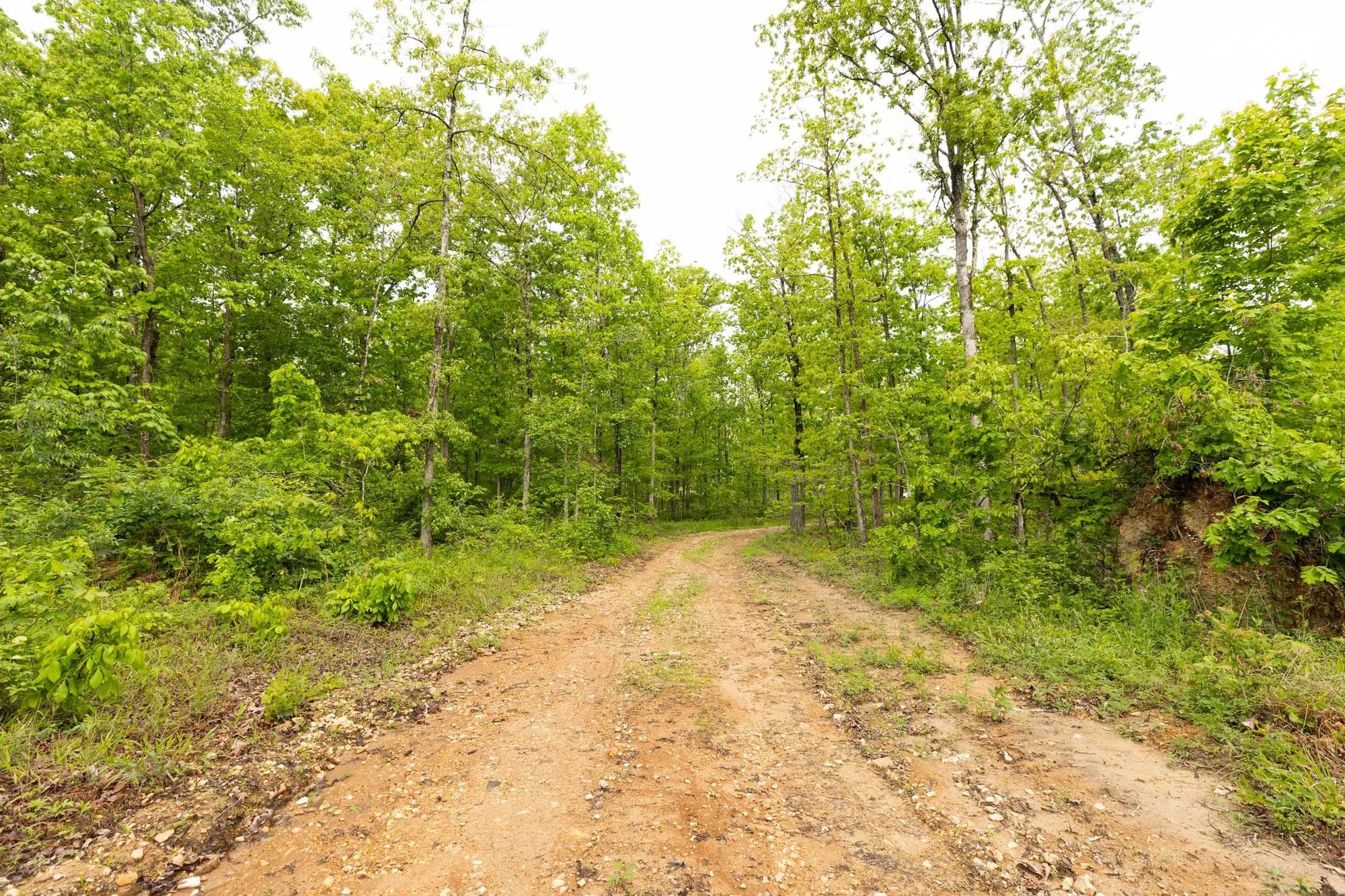 Stardust Estates Tract 33 in Reynolds County, MO