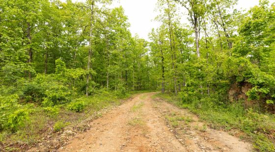 Stardust Estates Tract 33 in Reynolds County, MO