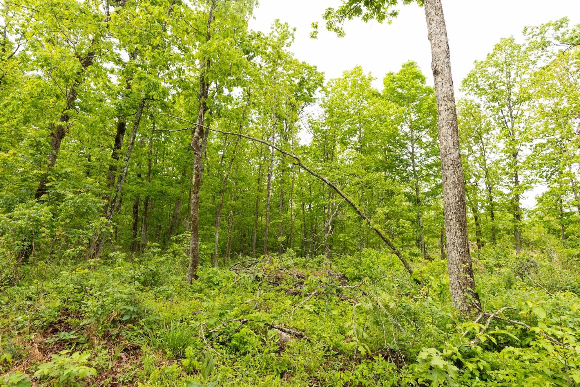 Stardust Estates Tract 33 in Reynolds County, MO