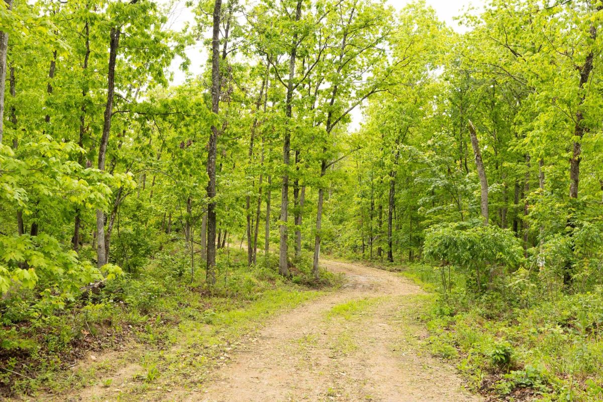 Decorative background for Stardust Estates Tract 33 image 5