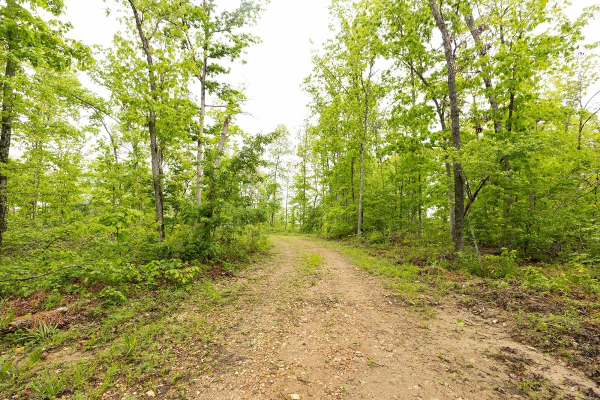 Decorative background for Stardust Estates Tract 33 image 8