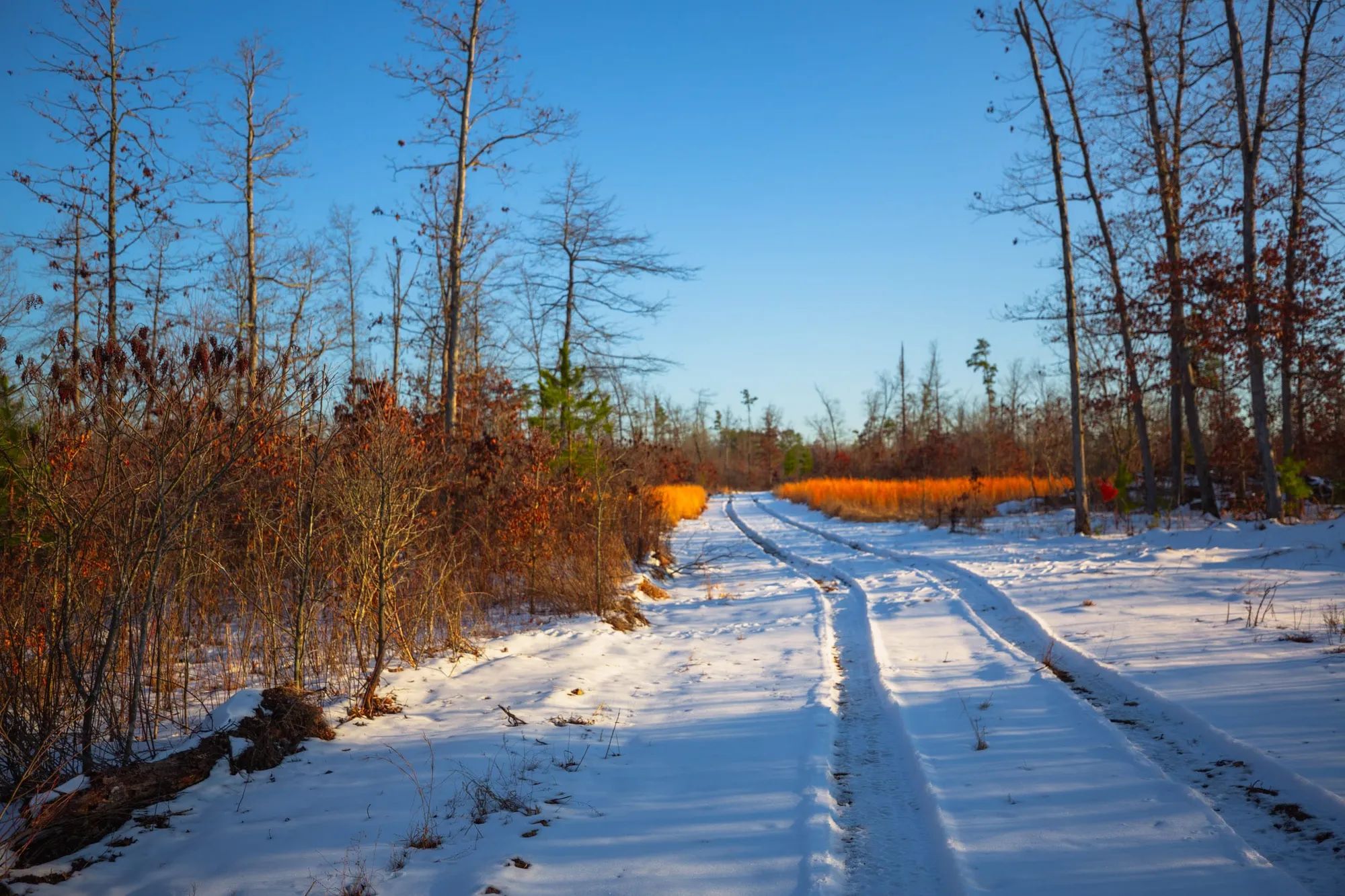 Sleepy Hollow Phase I Tract 36 in Texas County, MO