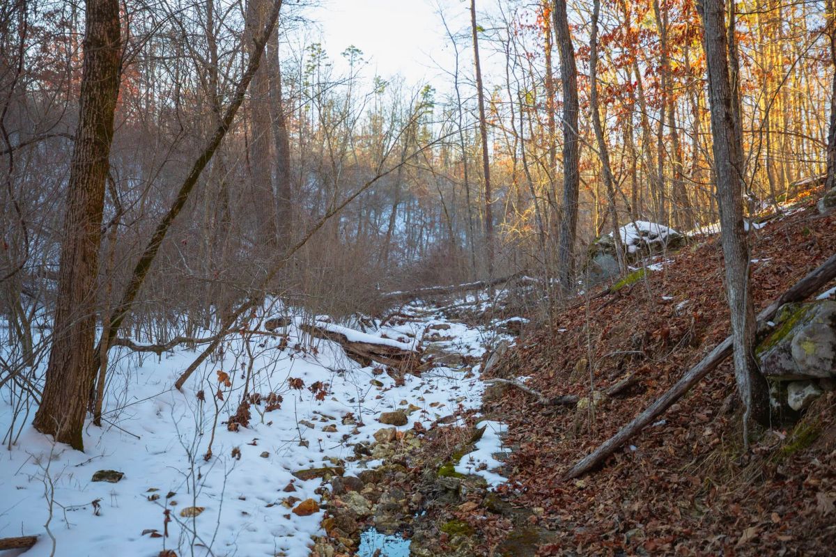 Decorative background for Sleepy Hollow Phase I Tract 36 image 15