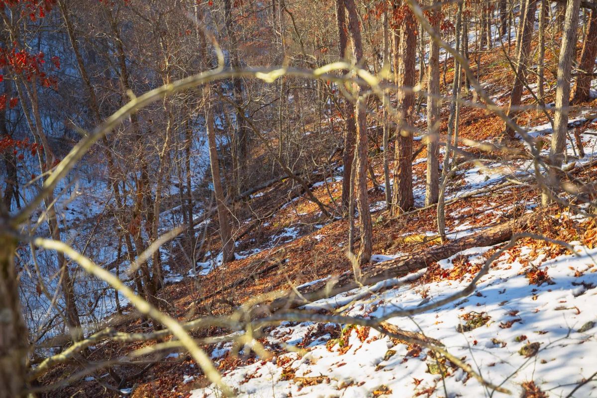 Decorative background for Sleepy Hollow Phase I Tract 36 image 17