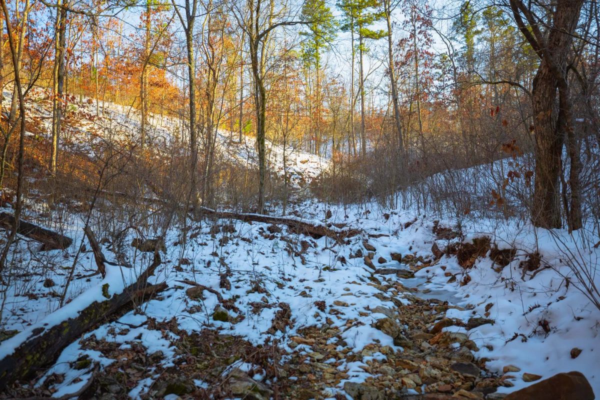 Decorative background for Sleepy Hollow Phase I Tract 36 image 24