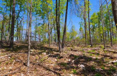 Lazybrook Tract 12