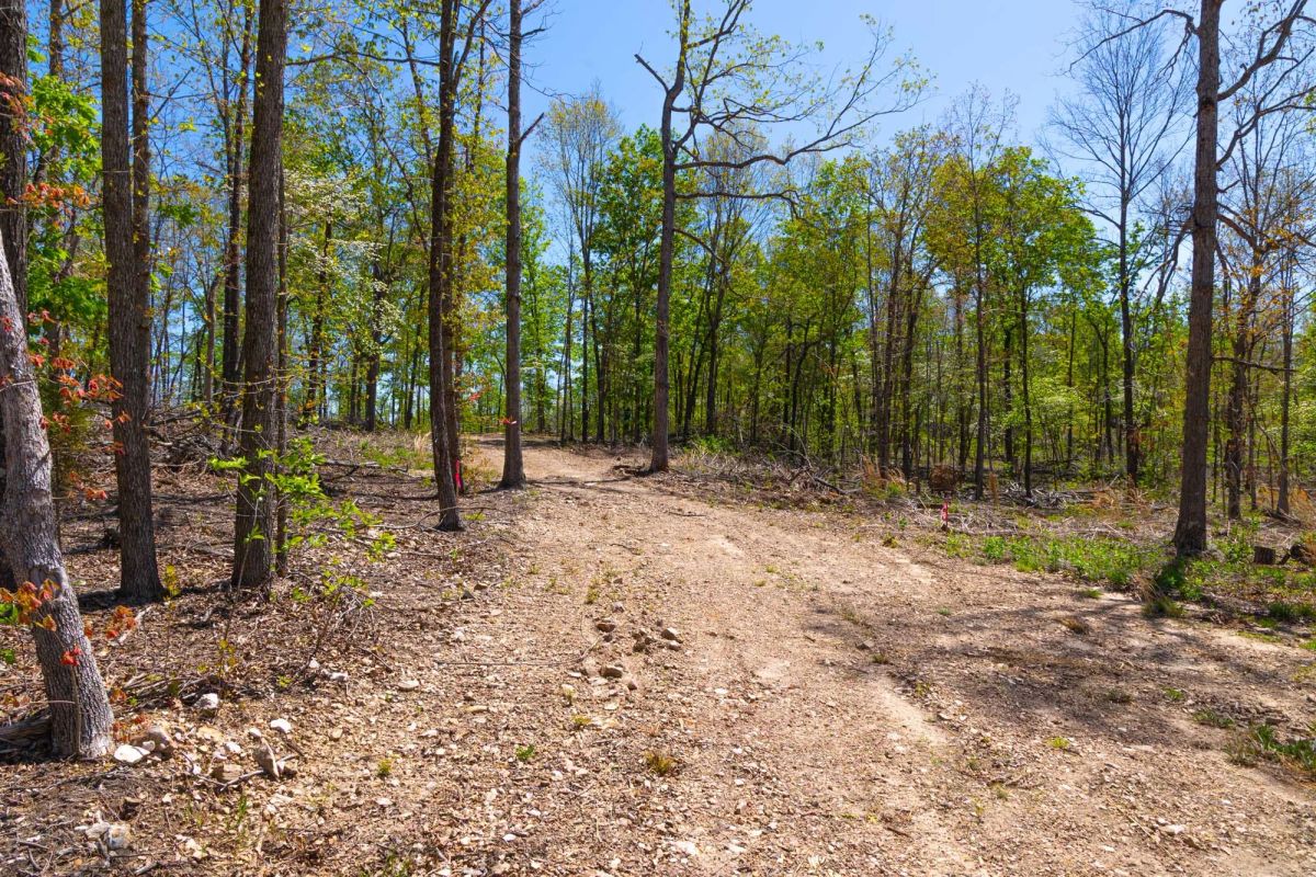 Lazybrook Tract 12 - Image 2