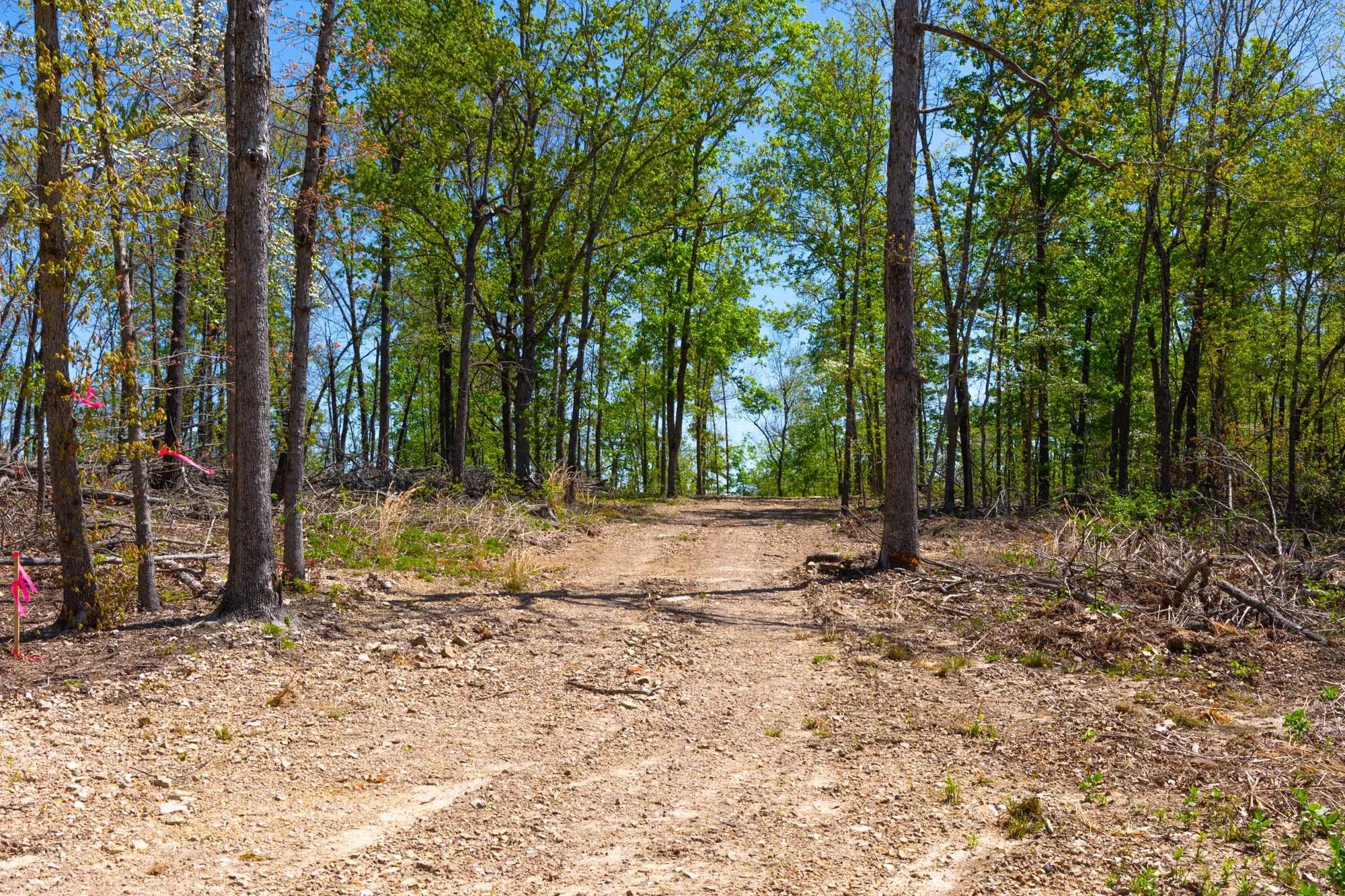 Lazybrook Tract 12 in Fulton County, AR