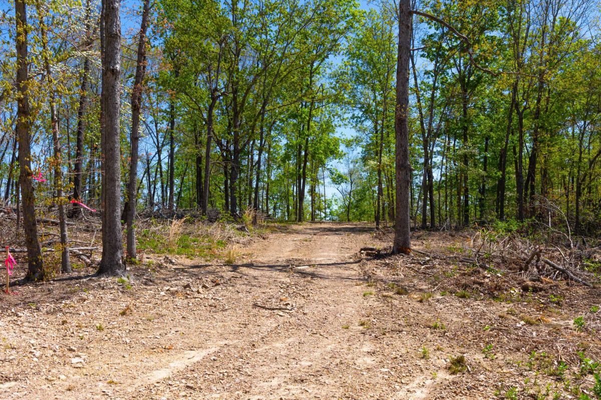 Lazybrook Tract 12 - Image 3