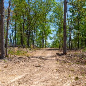 Lazybrook Tract 12 in Fulton County, AR