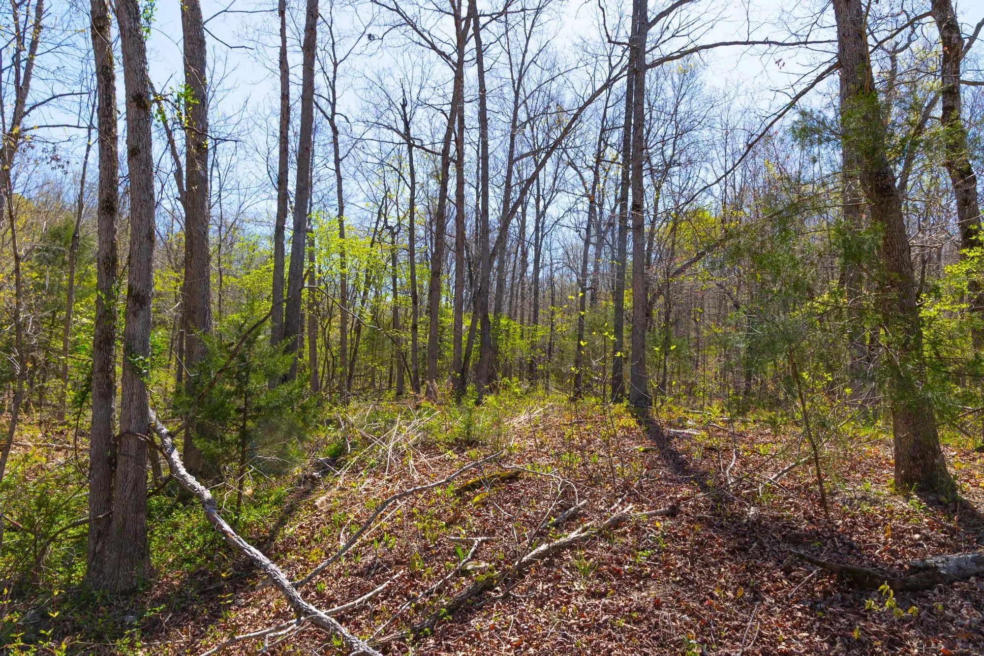 Lazybrook Tract 12 in Fulton County, AR