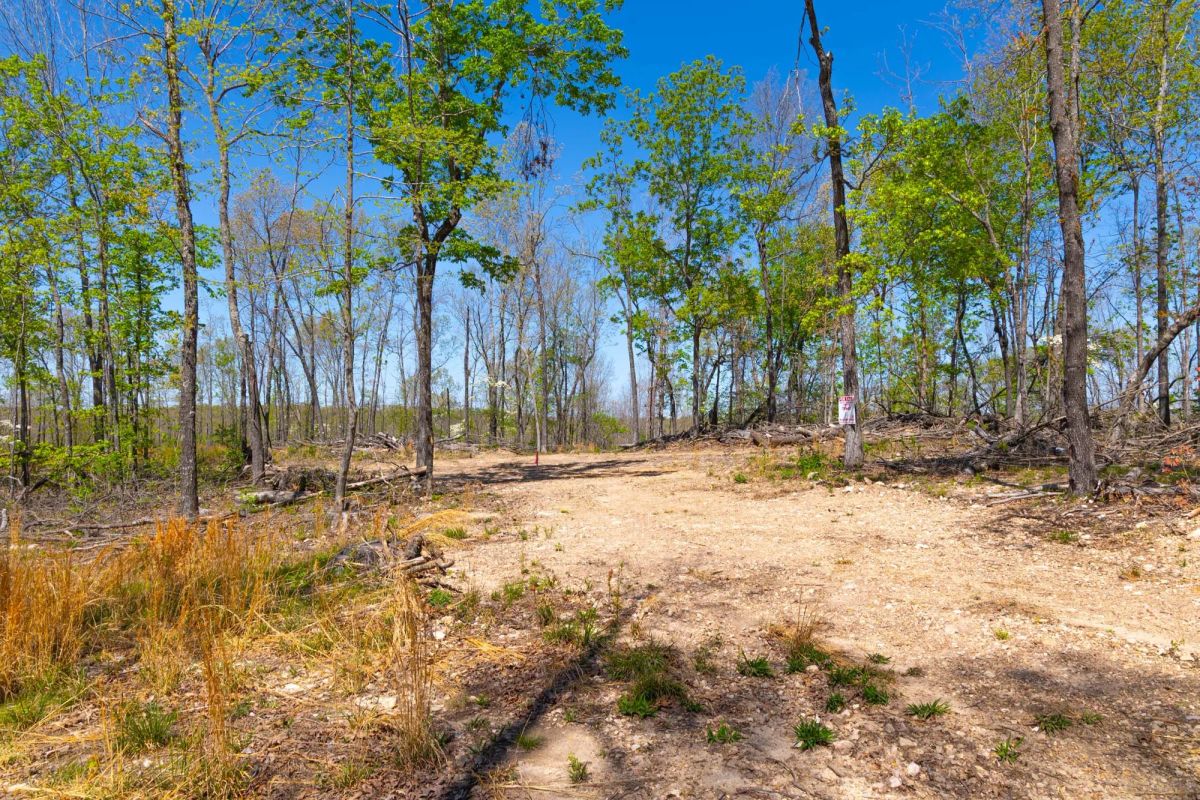 Decorative background for Lazybrook Tract 12 image 5