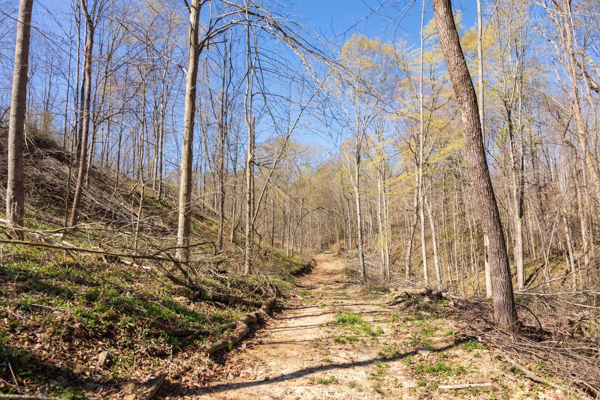 Creek Hollow Phase I Tract 43 in Rockcastle County, KY