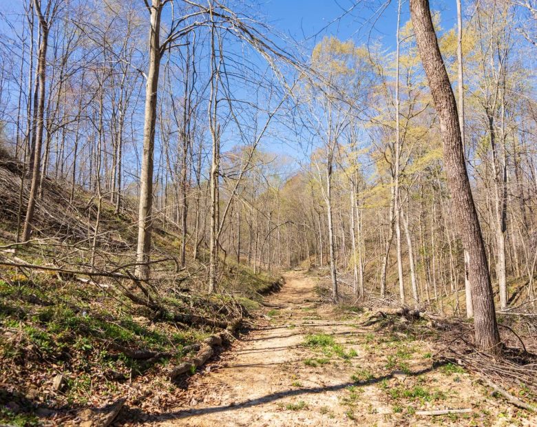 Creek Hollow Phase I Tract 43 in Rockcastle County, KY
