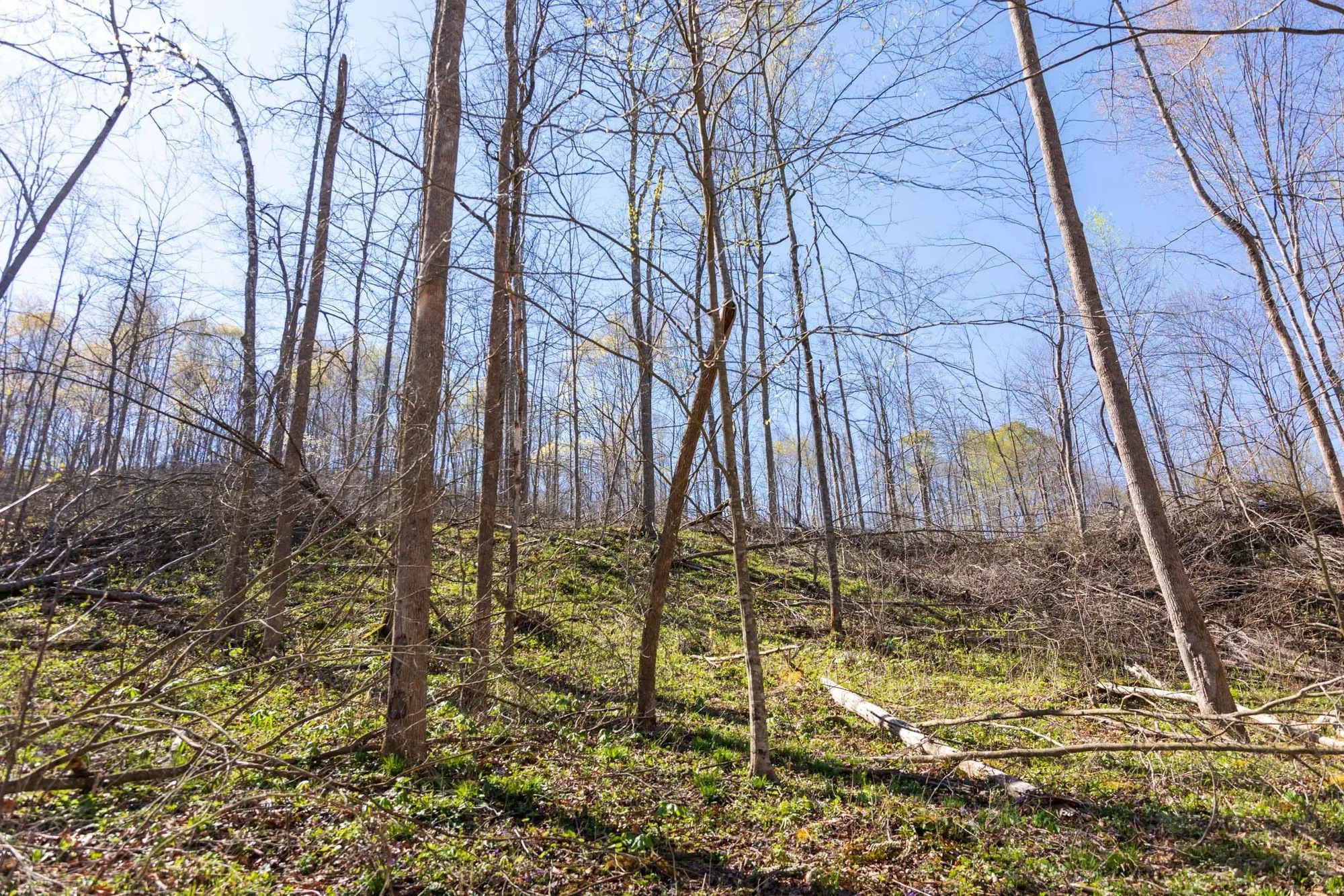 Creek Hollow Phase I Tract 43 in Rockcastle County, KY