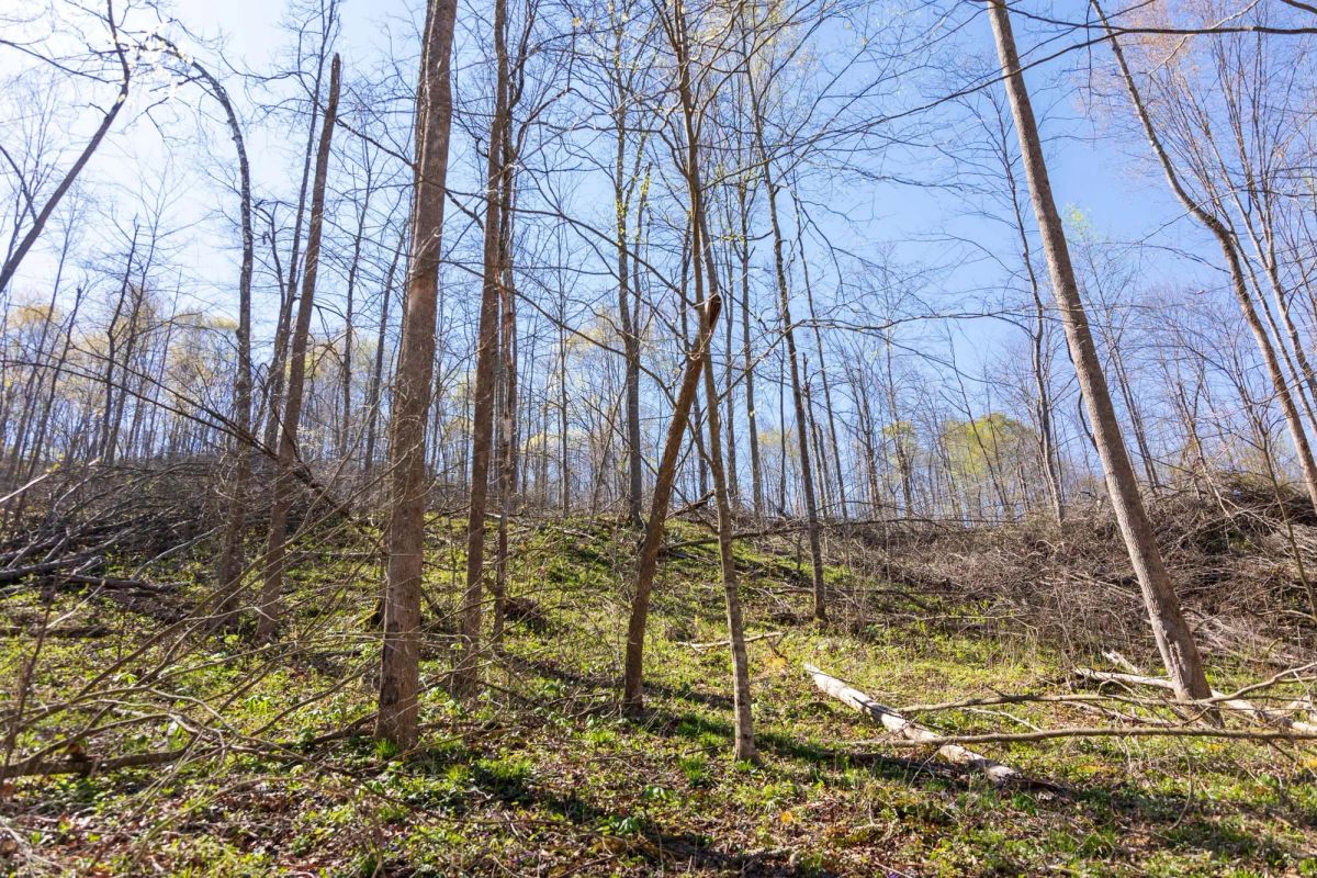 Creek Hollow Phase I Tract 43 - Image 2