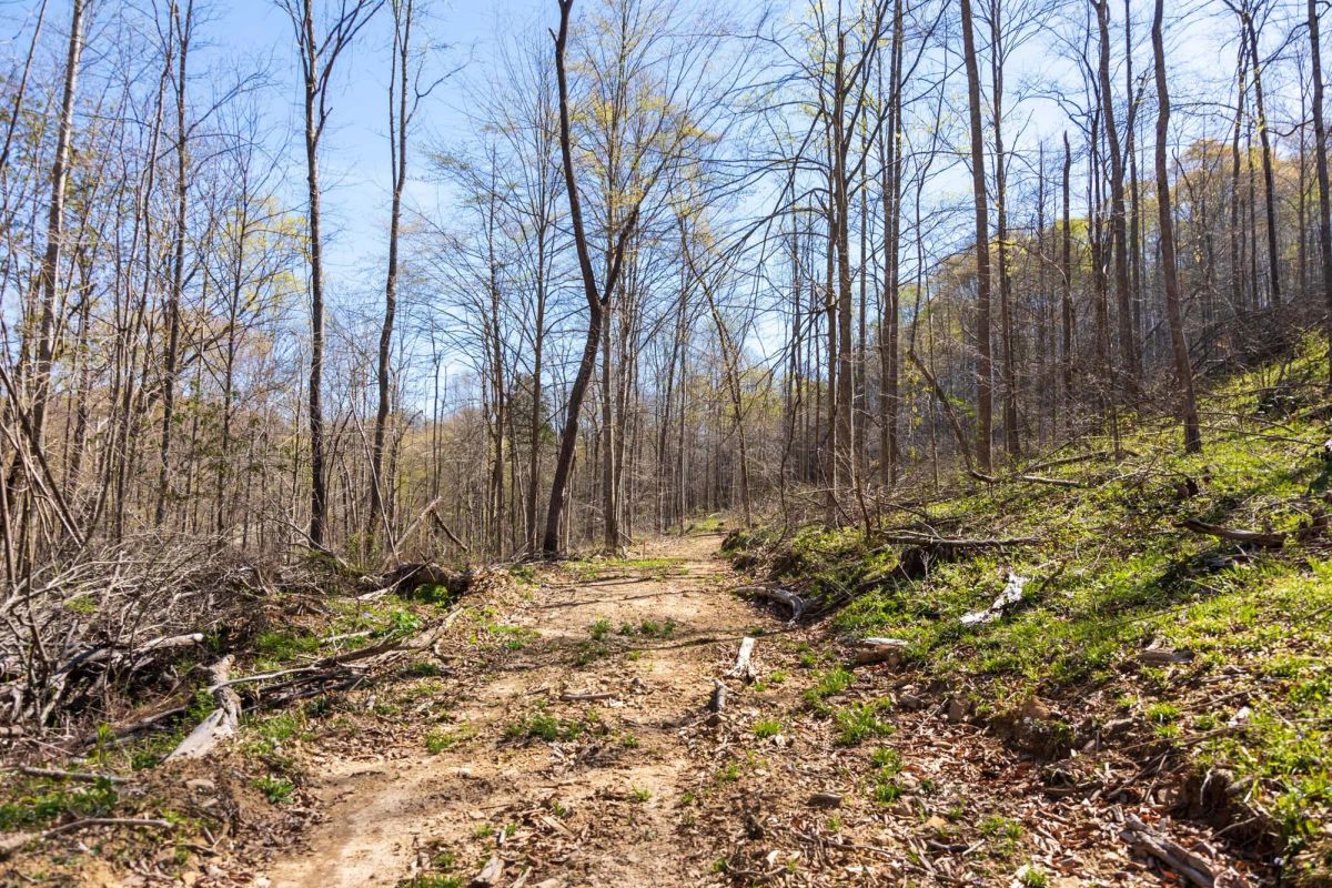 Creek Hollow Phase I Tract 43 - Image 3