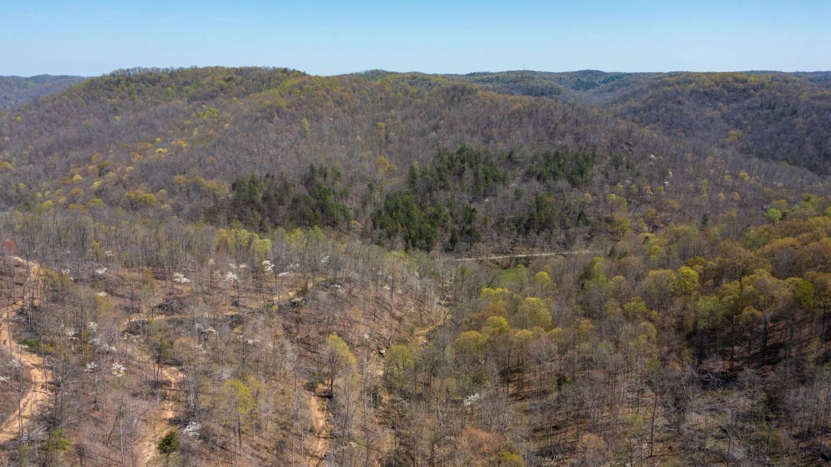 Decorative background for Creek Hollow Phase I Tract 43 image 8