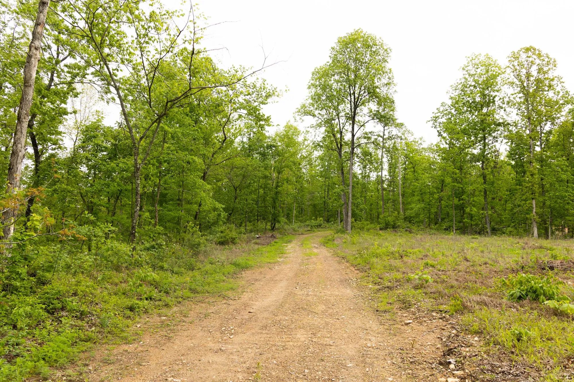 Stardust Estates Tract 34 in Reynolds County, MO