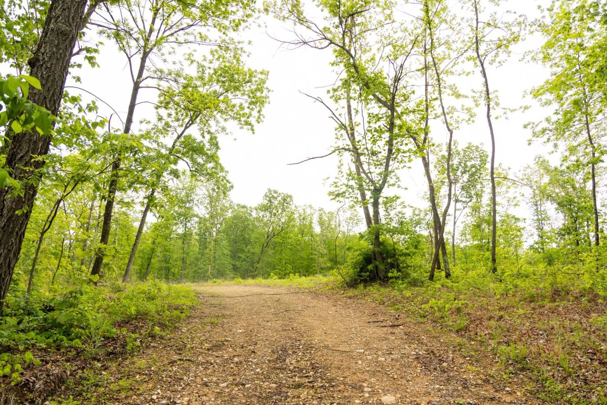 Decorative background for Stardust Estates Tract 34 image 12