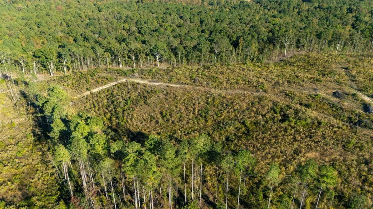 Meyer’s Ridge Tract 29 - Main image