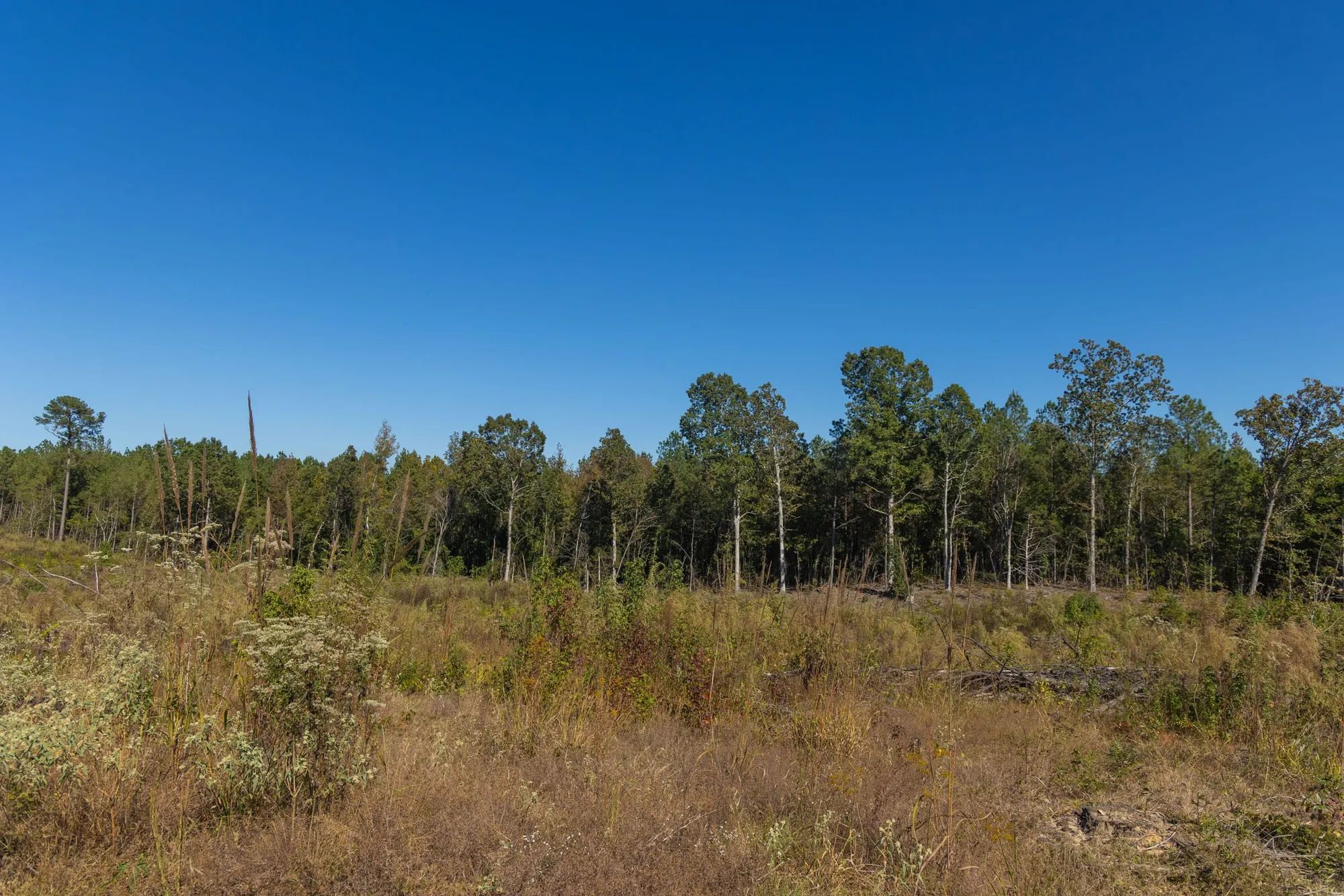 Meyer’s Ridge Tract 29 in Attala County, MS