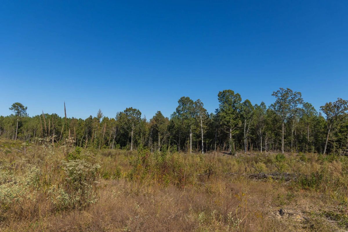 Meyer’s Ridge Tract 29 - Image 2