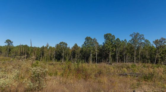 Meyer’s Ridge Tract 29 in Attala County, MS