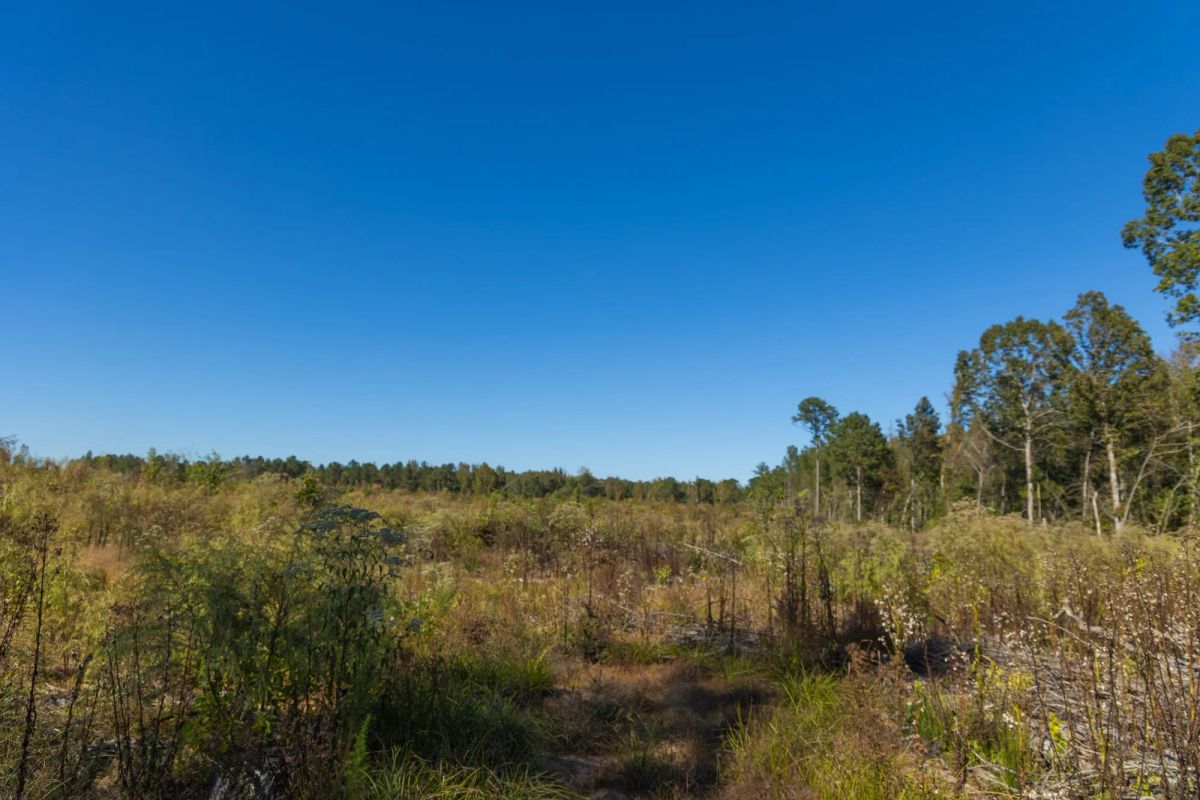Decorative background for Meyer’s Ridge Tract 29 image 7
