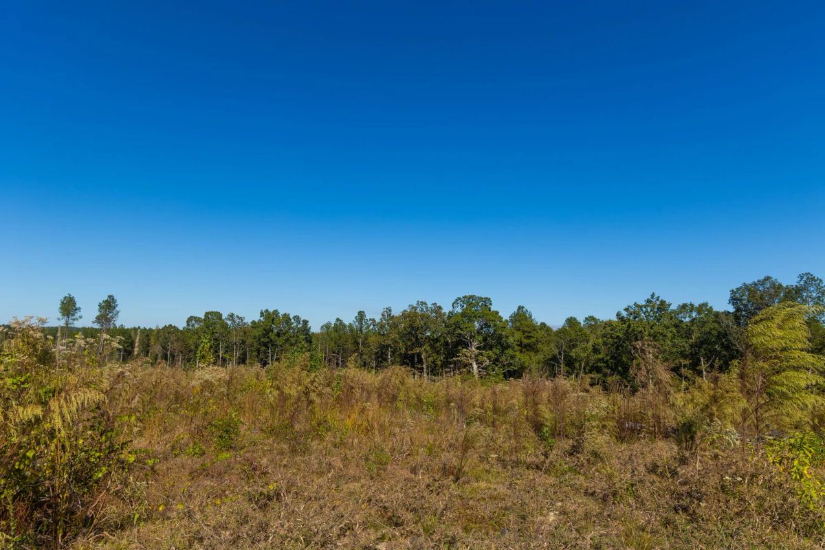 Decorative background for Meyer’s Ridge Tract 29 image 10