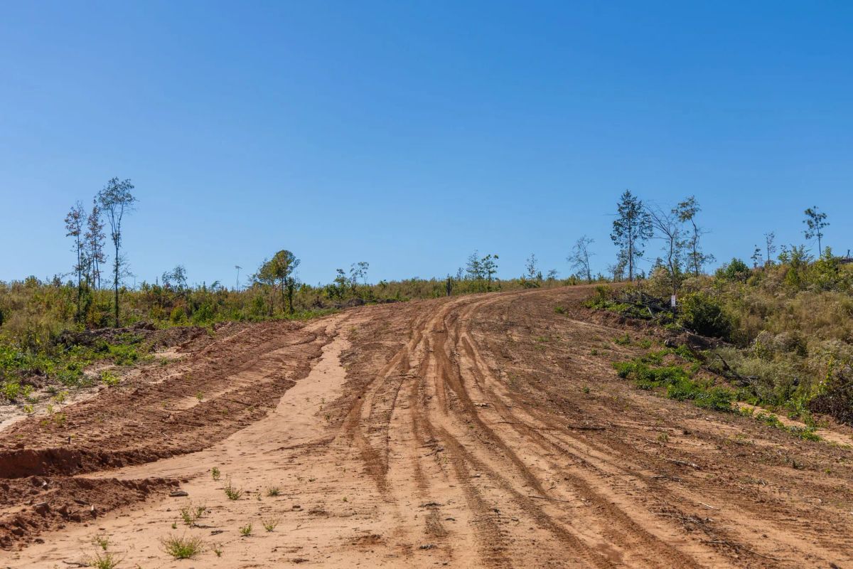 Decorative background for Meyer’s Ridge Tract 29 image 12