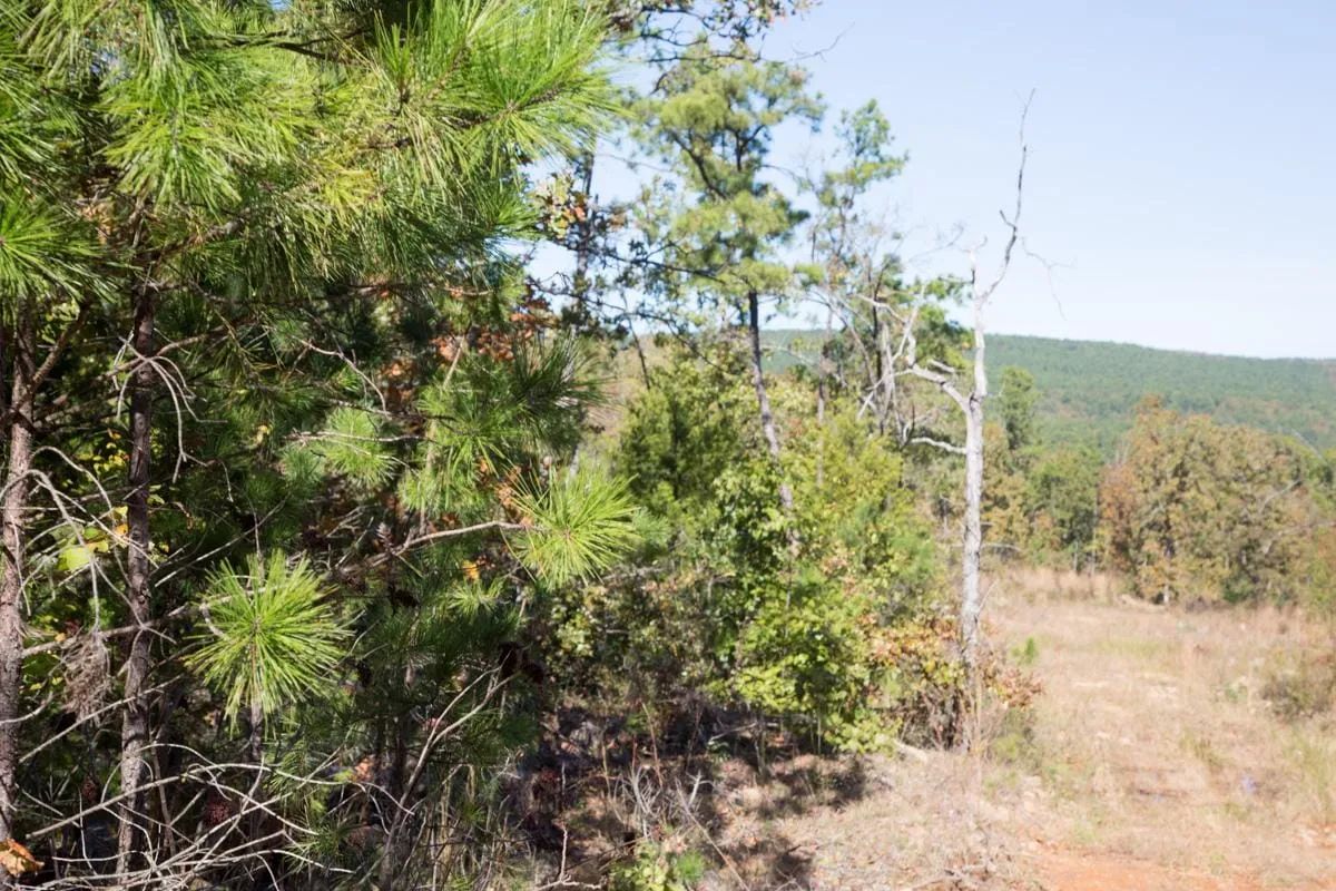 Stone Creek Phase I Tract 153 in Latimer County, OK