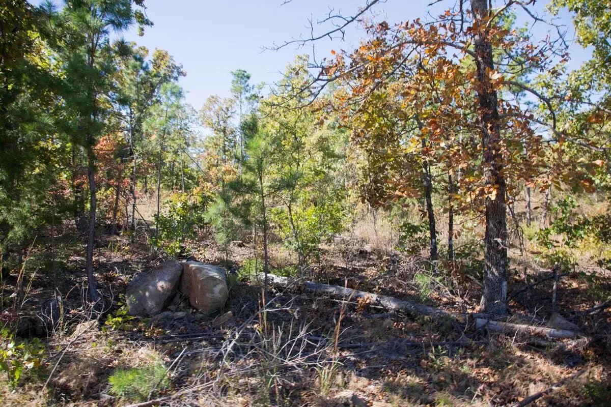 Stone Creek Phase I Tract 153 - Image 4