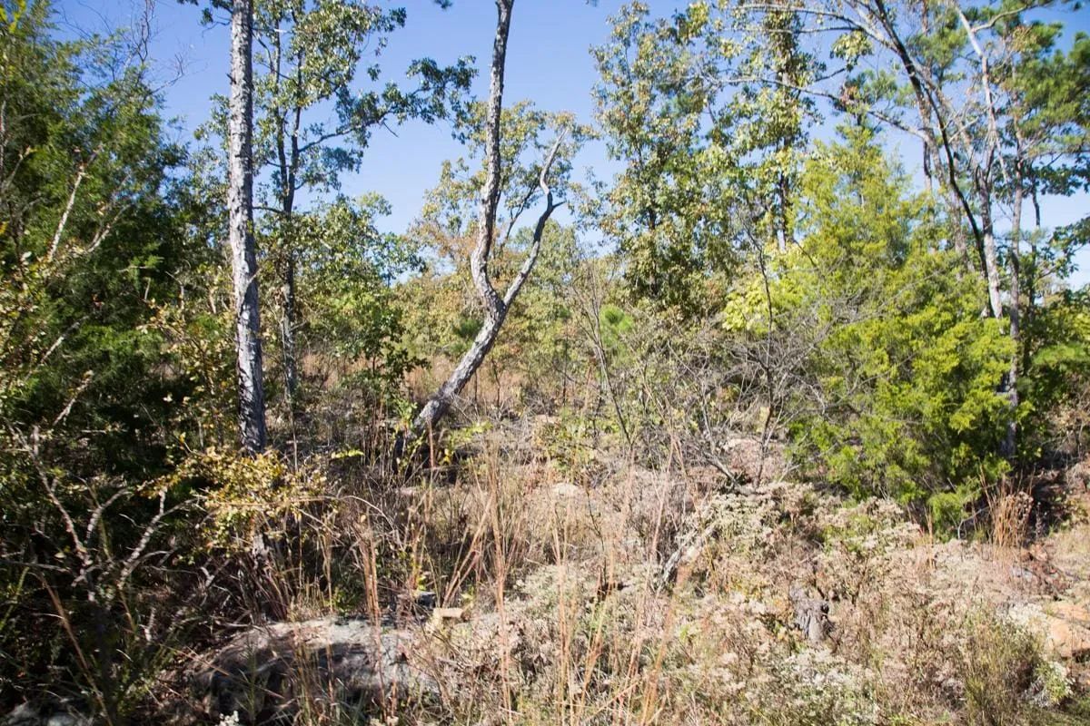 Decorative background for Stone Creek Phase I Tract 153 image 5