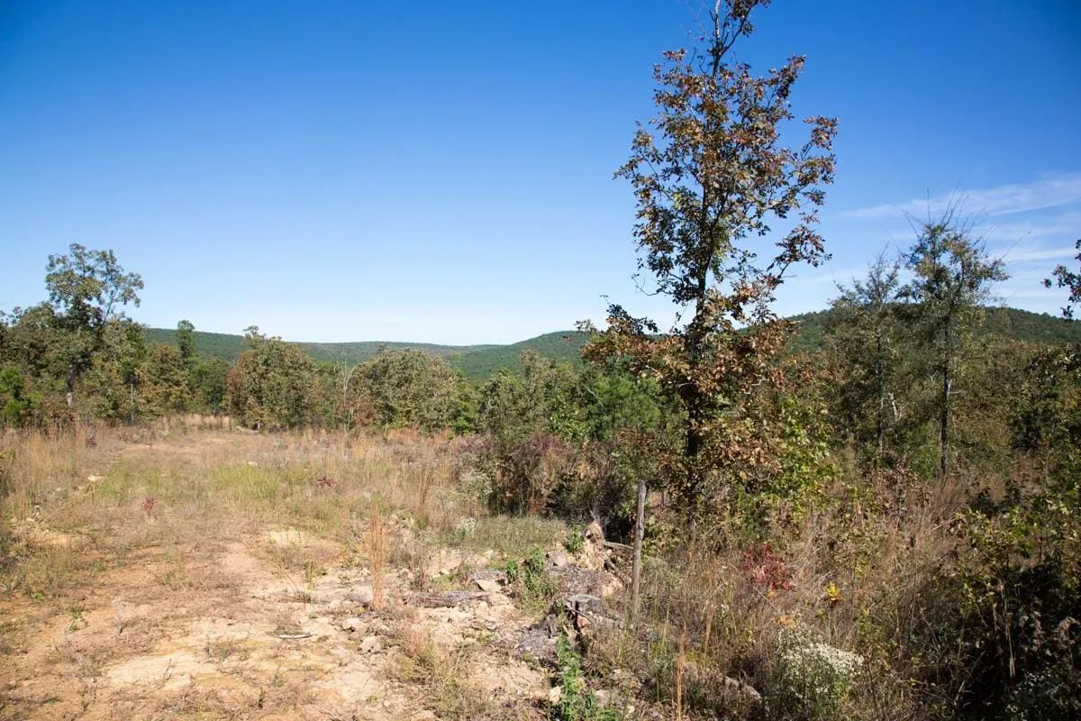 Decorative background for Stone Creek Phase I Tract 153 image 6