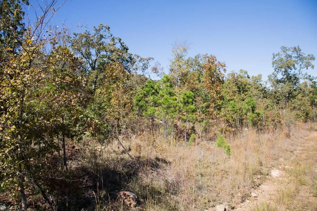 Decorative background for Stone Creek Phase I Tract 153 image 7