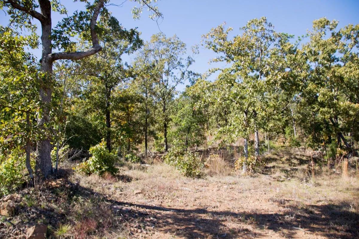 Decorative background for Stone Creek Phase I Tract 153 image 9